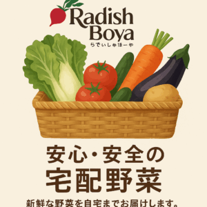 らでぃっしゅぼーや 口コミ 宅配食