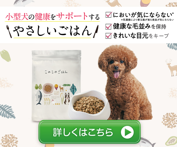 このこのごはん口コミ